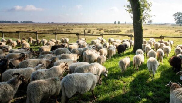 Grenzeloos Slapen-Eten-Beleven - goedkope-singlereizen.nl