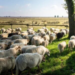 Grenzeloos Slapen-Eten-Beleven - goedkope-singlereizen.nl
