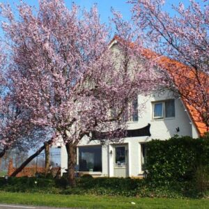 B&B Sagenland - goedkope-singlereizen.nl
