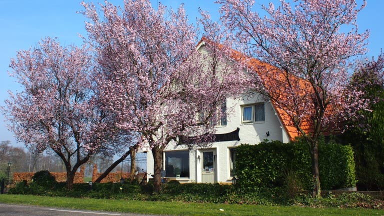 B&B Sagenland - goedkope-singlereizen.nl