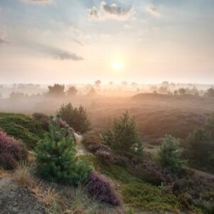 De Oringer Marke & Stee Hotels by Flow - goedkope-singlereizen.nl