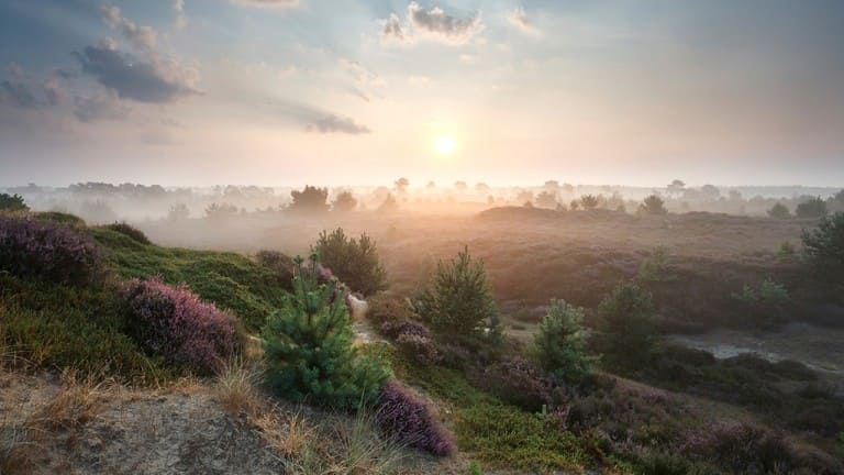 De Oringer Marke & Stee Hotels by Flow - goedkope-singlereizen.nl