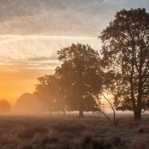 Fietsvakantie rondje Drenthe - goedkope-singlereizen.nl