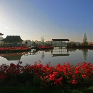 De Bronsbergen Wellness & Hotel - goedkope-singlereizen.nl