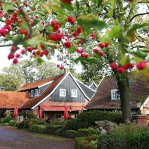 Hotel Restaurant Het Ros van Twente - goedkope-singlereizen.nl